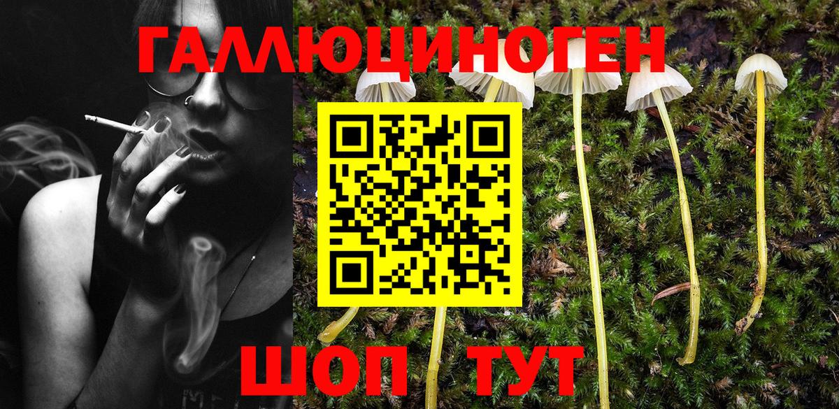 Псилоцибиновые грибы мицелий Екатеринбург