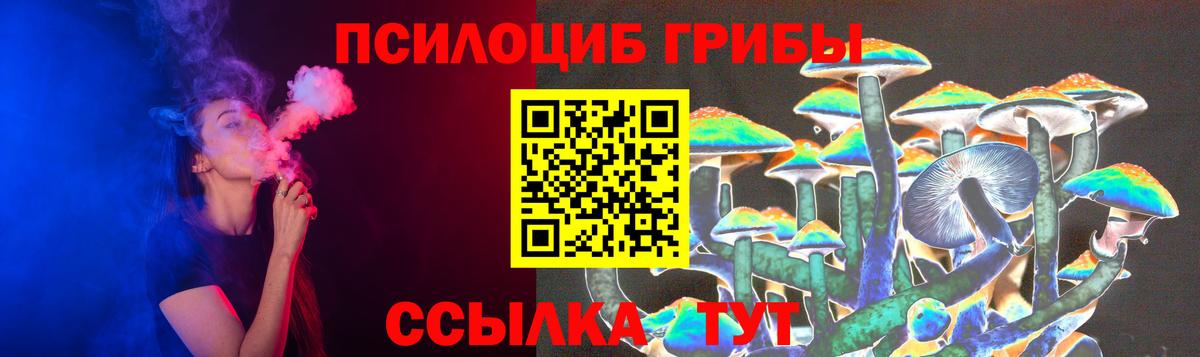 Псилоцибиновые грибы мухоморы  Вход с VPN  сколько стоит  Екатеринбург 